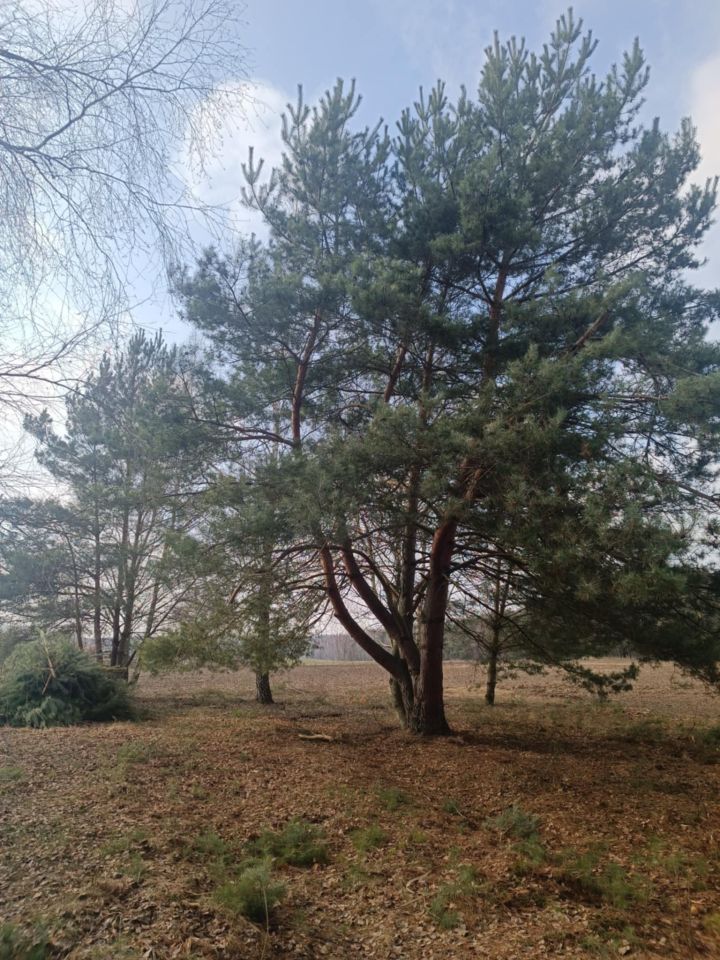 Działka budowlana Łuszczów Pierwszy. Zdjęcie 2