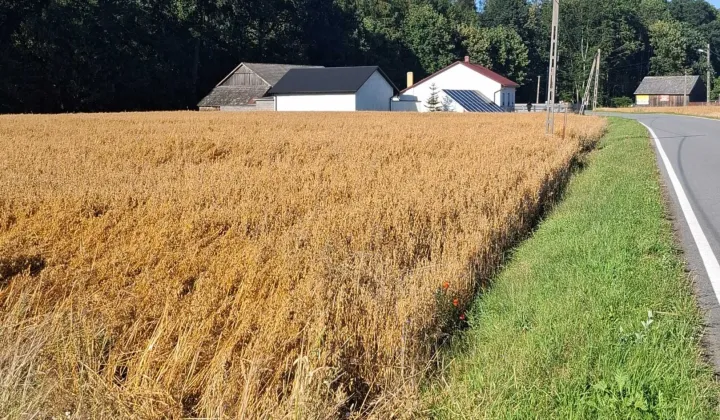 Działka budowlana Celiny, ul. Złota