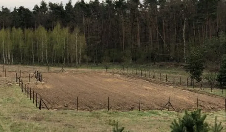 Działka budowlana Oporówek