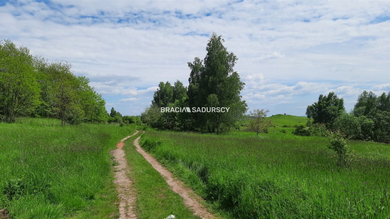 Działka rolno-budowlana Rudno. Zdjęcie 13