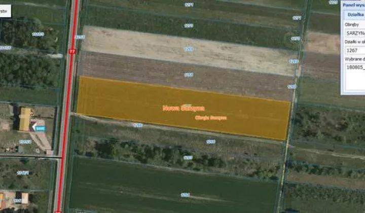 Działka budowlana Sarzyna