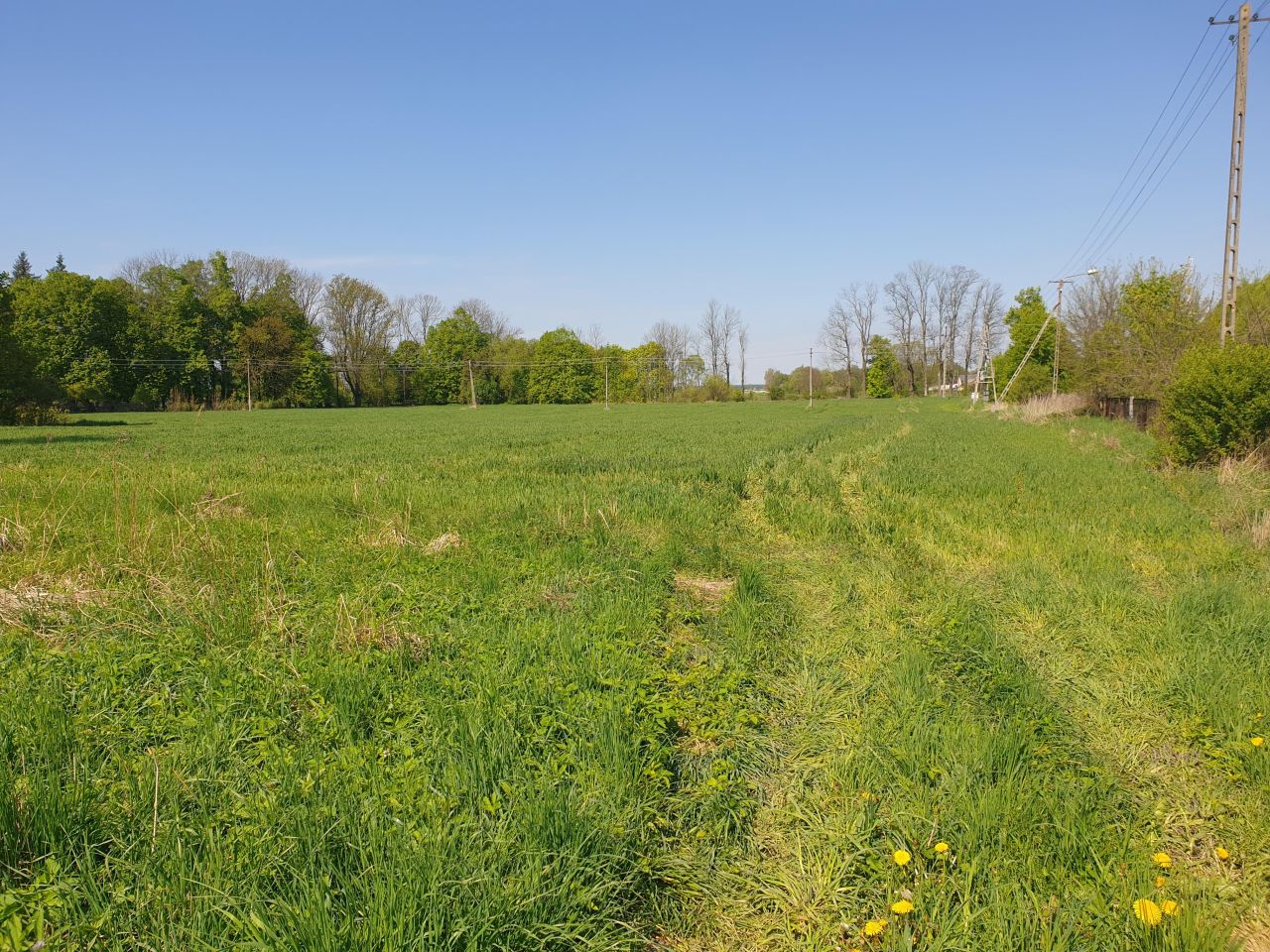 Działka inna Bezwola Rokosz, ul. Bezwola Stara Wieś. Zdjęcie 6