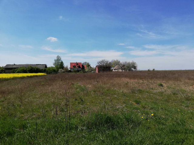 Działka budowlana Rozdroże kolonia. Zdjęcie 1
