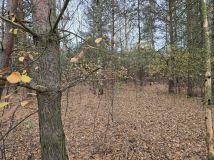 Działka budowlana Helenów, ul. Gruntowa. Zdjęcie 2