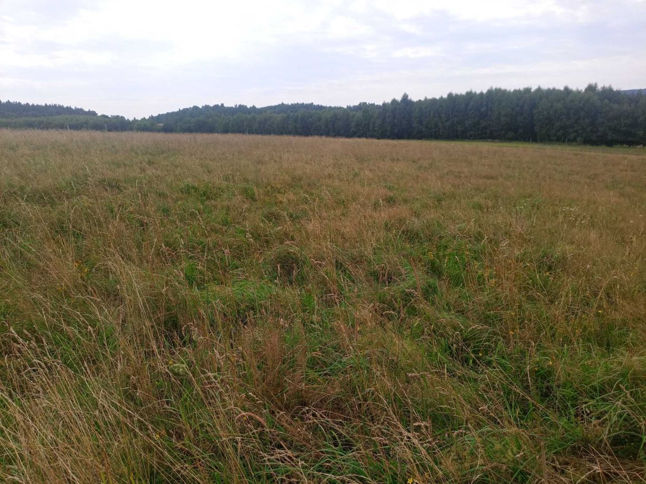 Działka budowlana Wyszki. Zdjęcie 2