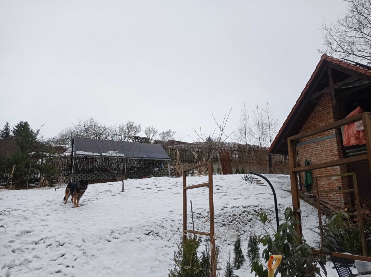 Działka rod Debrzno. Zdjęcie 6