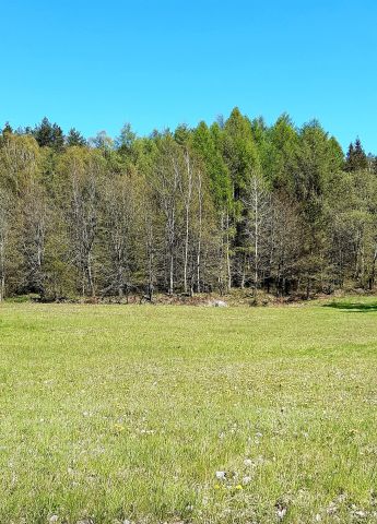 Działka budowlana Częstkowo Lipka, ul. Lipkowa. Zdjęcie 1