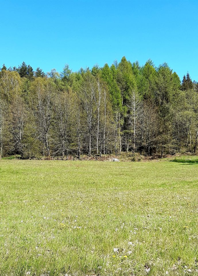Działka budowlana Częstkowo Lipka, ul. Lipkowa. Zdjęcie 3