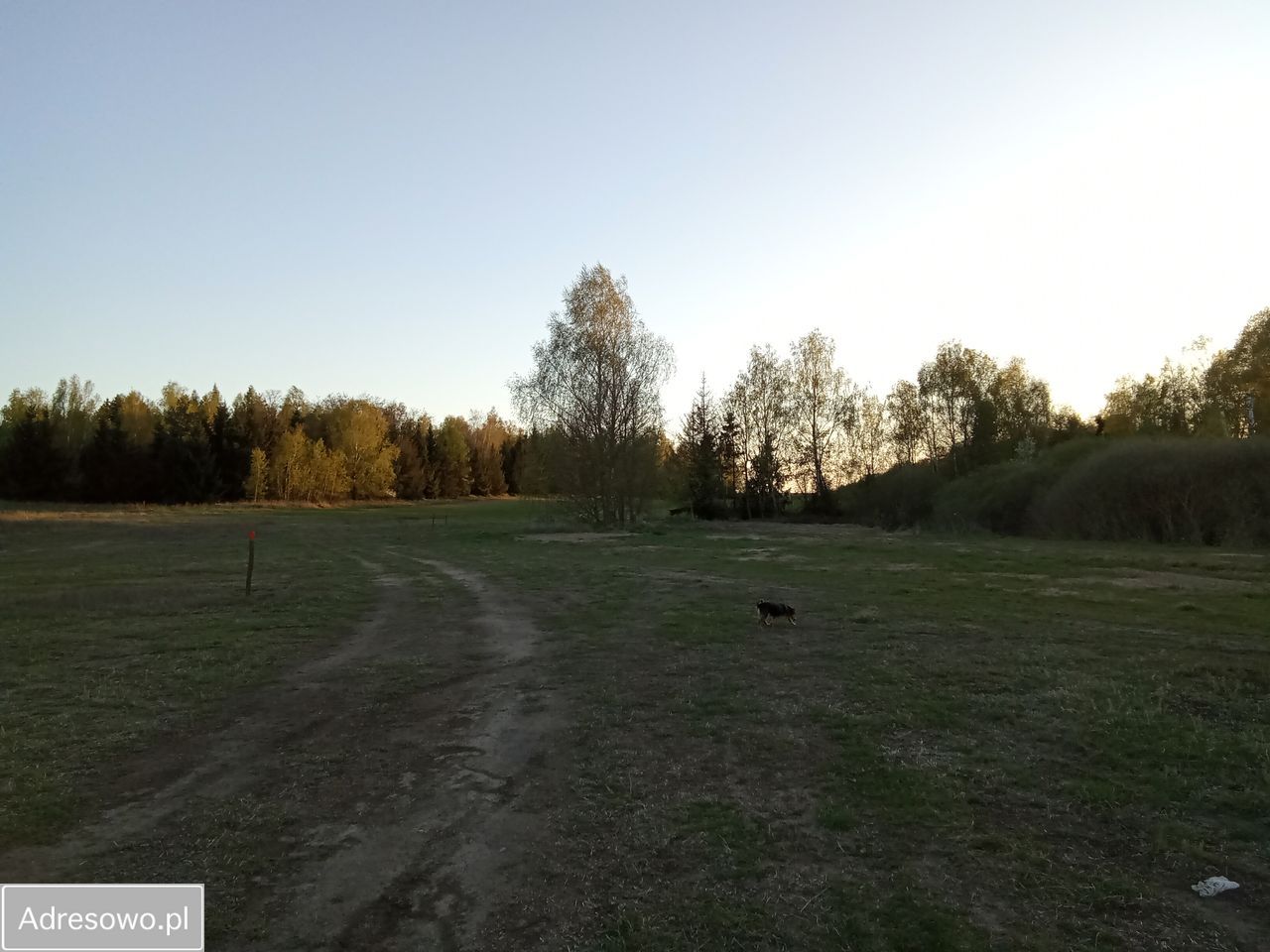 Działka budowlana Lubikowo. Zdjęcie 6