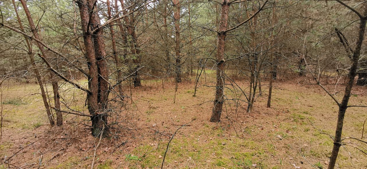 Działka budowlana Rekownica. Zdjęcie 6