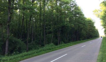 Działka leśna Żabiniec Dzikowiny