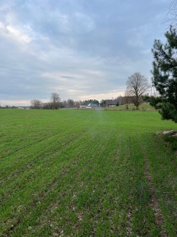 Działka rolno-budowlana Szafarnia. Zdjęcie 1