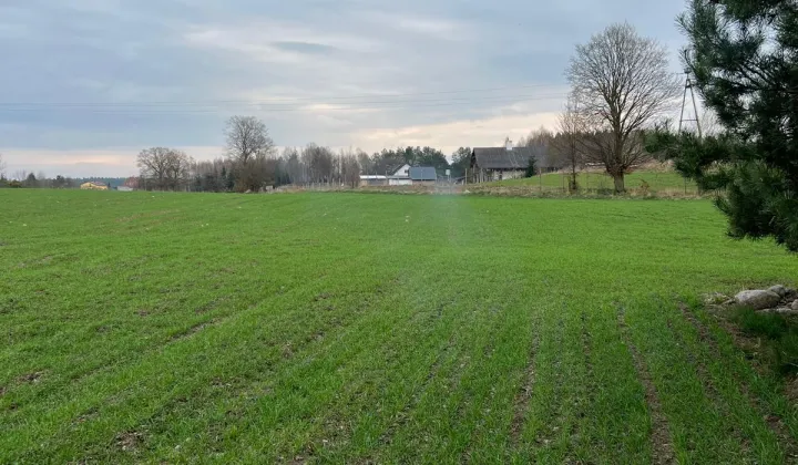 Działka rolno-budowlana Szafarnia