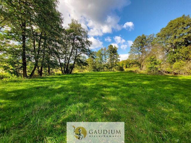 Działka Kobysewo. Zdjęcie 2