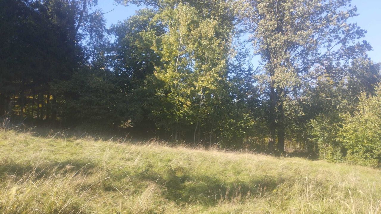 Działka rolna Jugowice. Zdjęcie 6