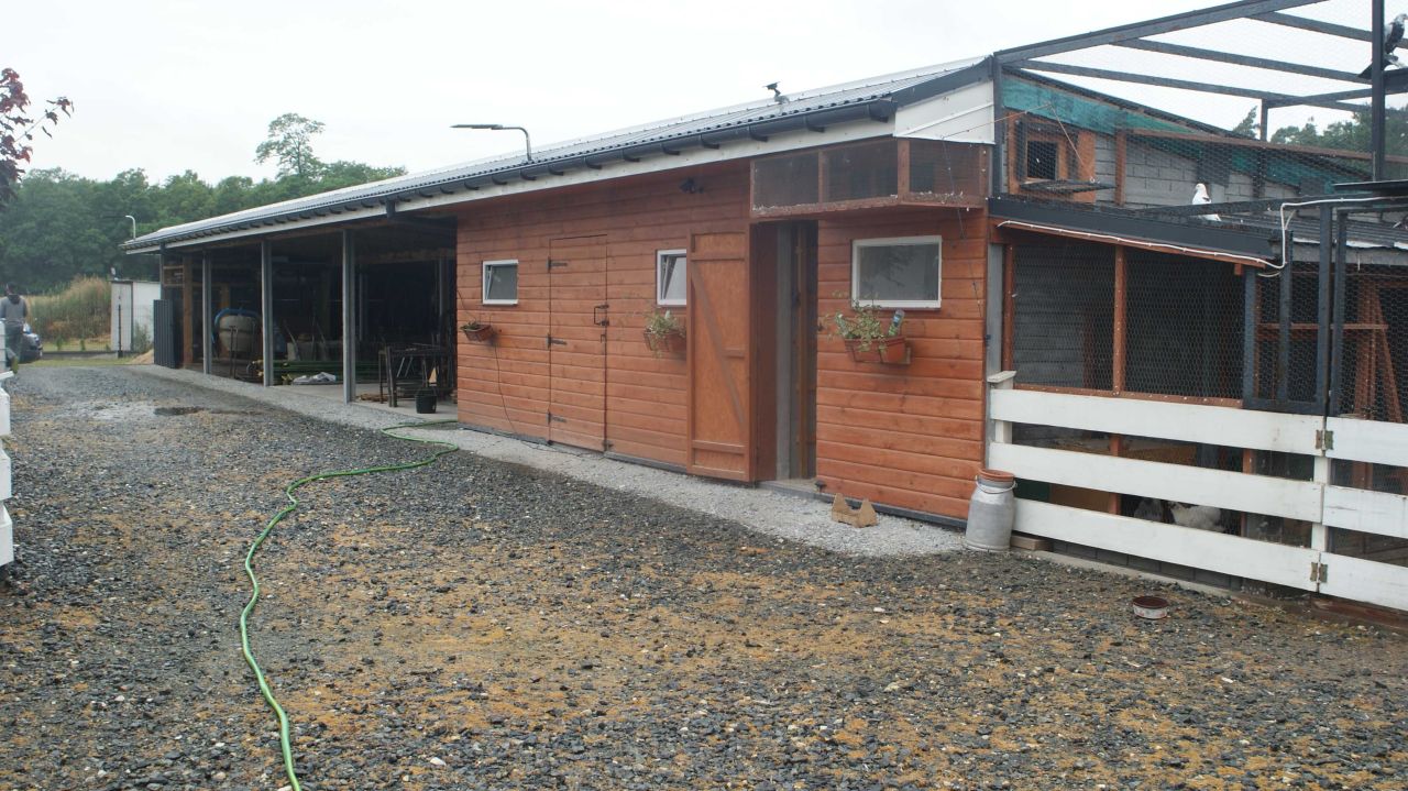 dom wolnostojący Wilczna. Zdjęcie 4