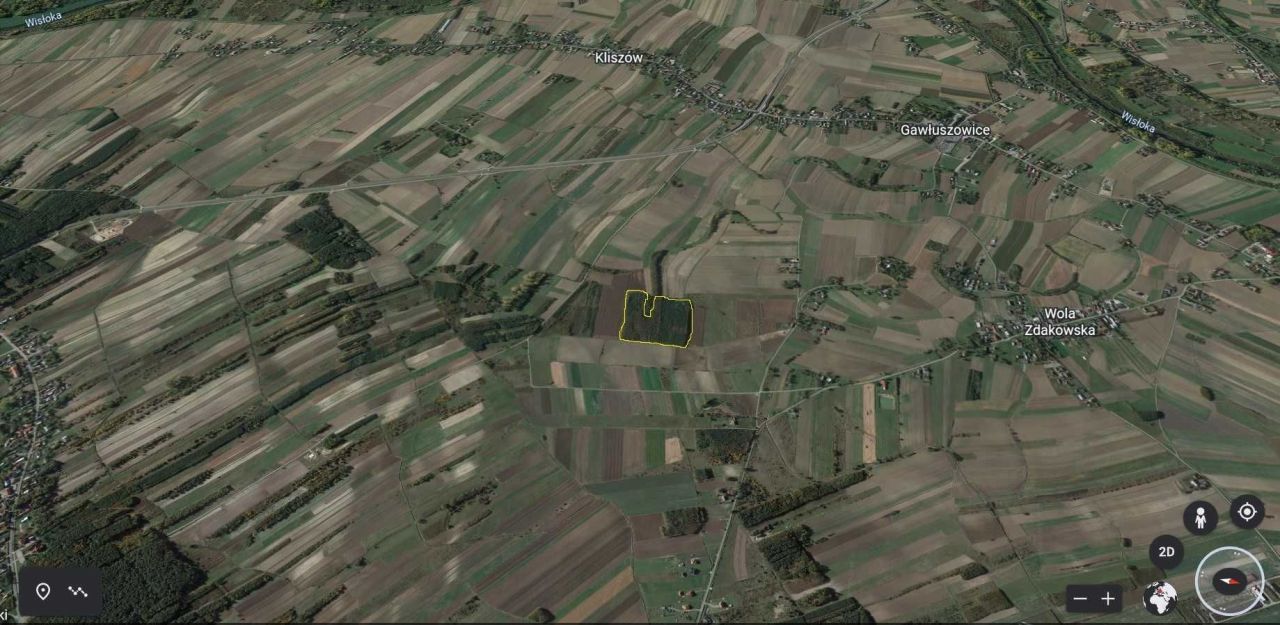 Działka leśna Kliszów. Zdjęcie 2