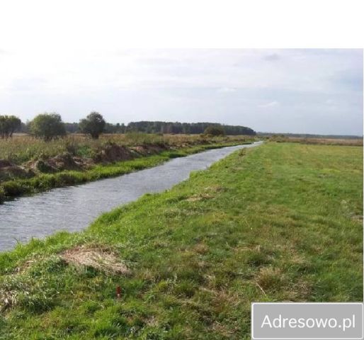 Działka rekreacyjna Ozorów. Zdjęcie 1