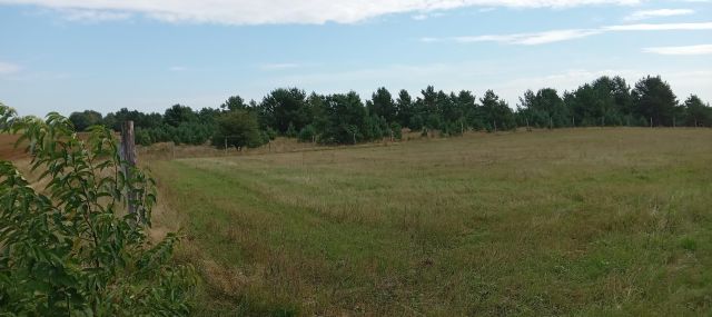 Działka budowlana Kaliska. Zdjęcie 1