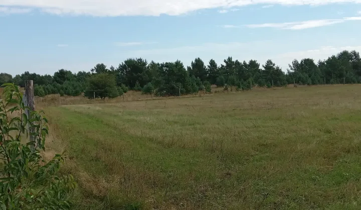 Działka budowlana Kaliska