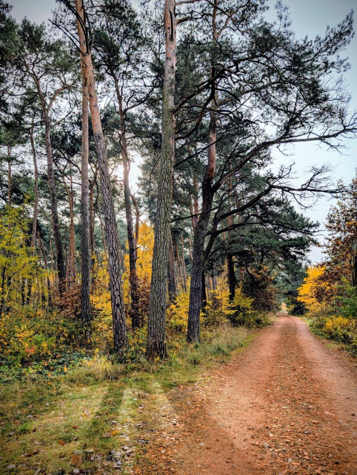 Działka rekreacyjna Kępa. Zdjęcie 7