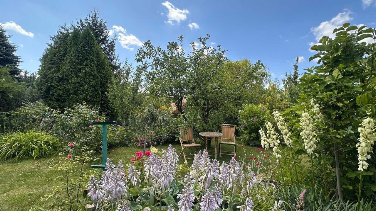 Działka rod Kielce, ul. Wrzosowa. Zdjęcie 7