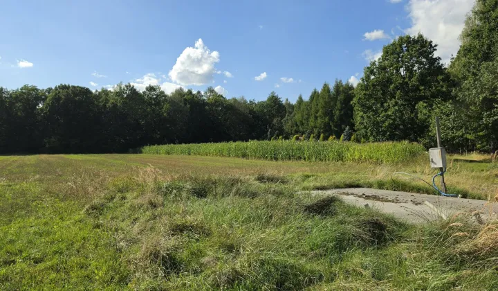 Działka rolno-budowlana Skoczów Dolny Bór, ul. Dolny Bór