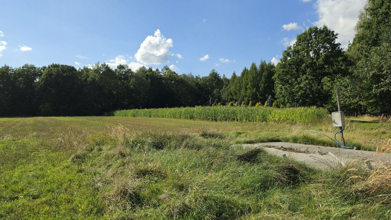 Działka rolno-budowlana Skoczów Dolny Bór, ul. Dolny Bór. Zdjęcie 1