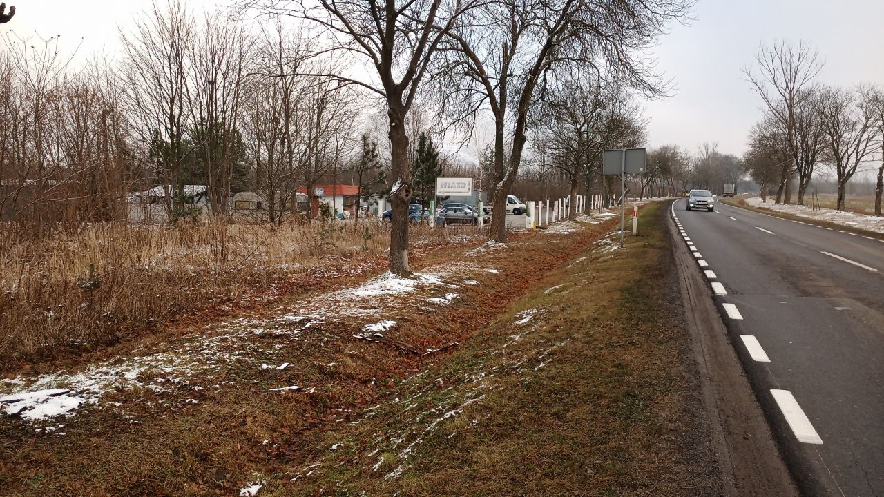 Działka inwestycyjna Sieniawa Żarska, ul. Kolonia. Zdjęcie 10
