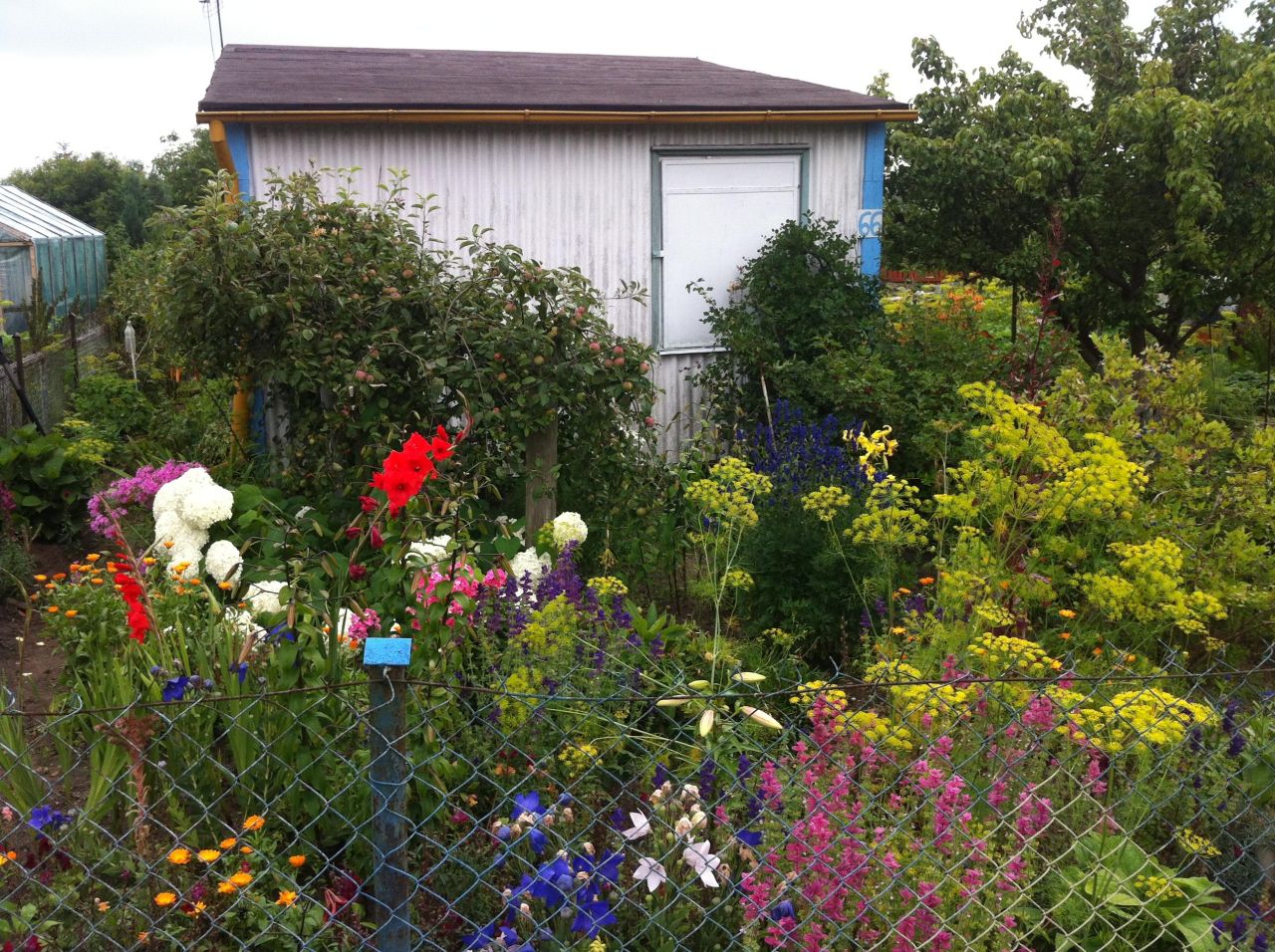 Działka rod Żukowo, ul. Polna