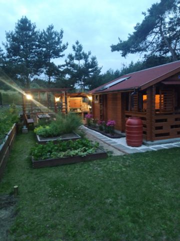 Działka leśna Żelazko, ul. Turystyczna. Zdjęcie 1