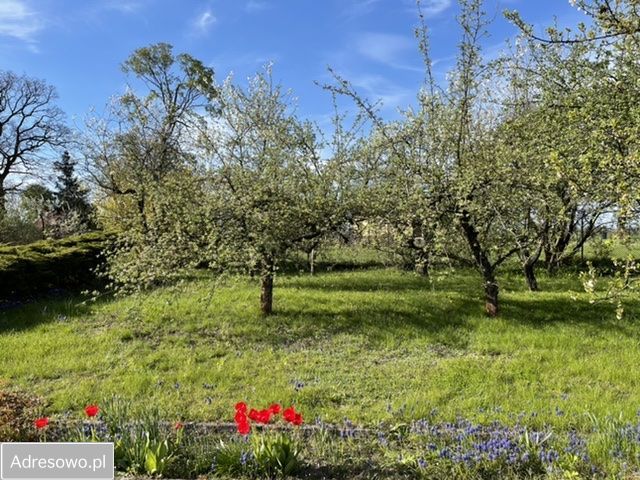 Działka rekreacyjna Komadzyn. Zdjęcie 1