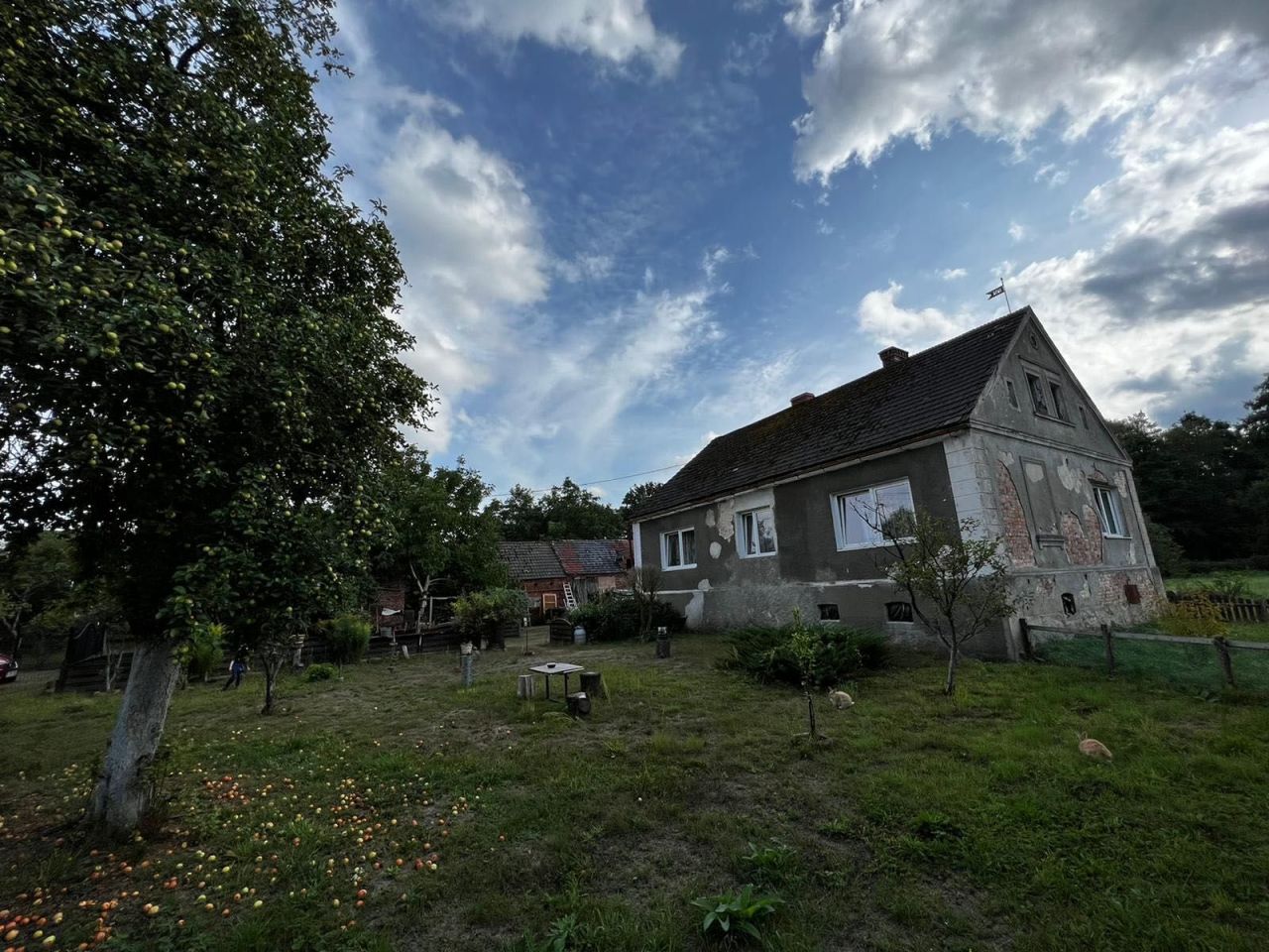 dom wolnostojący Struga