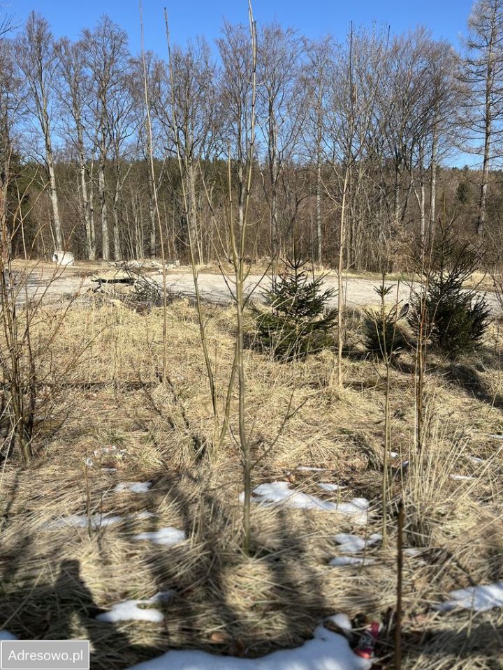 Działka budowlana Świeradów-Zdrój, ul. H. Sienkiewicza. Zdjęcie 2