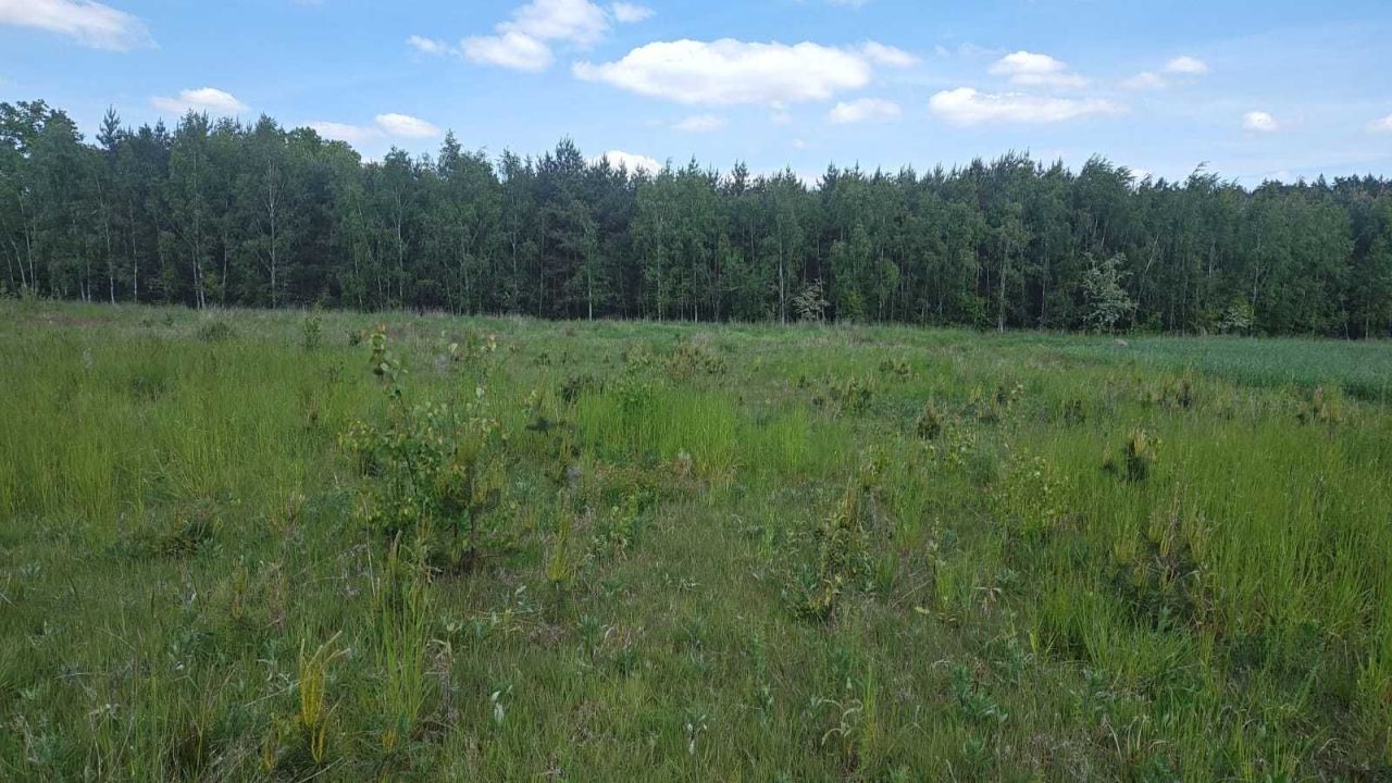 Działka budowlana Gola Wąsoska. Zdjęcie 4