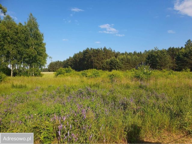 Działka rekreacyjna Panoszów Niwki, ul. Łąkowa. Zdjęcie 1