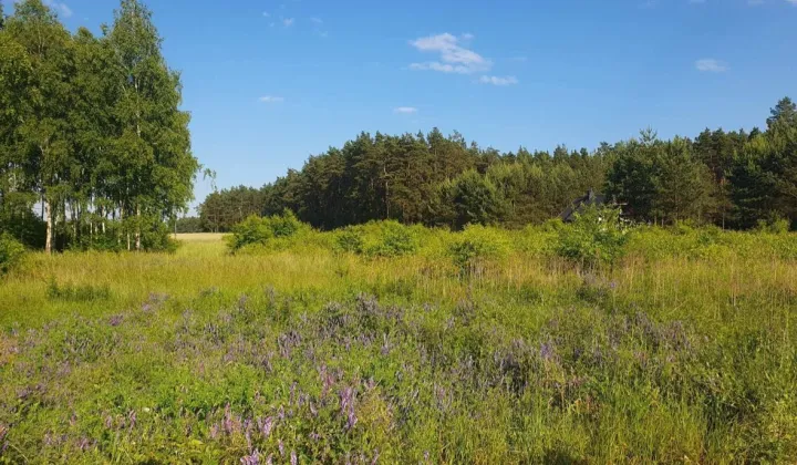 Działka rekreacyjna Panoszów Niwki, ul. Łąkowa
