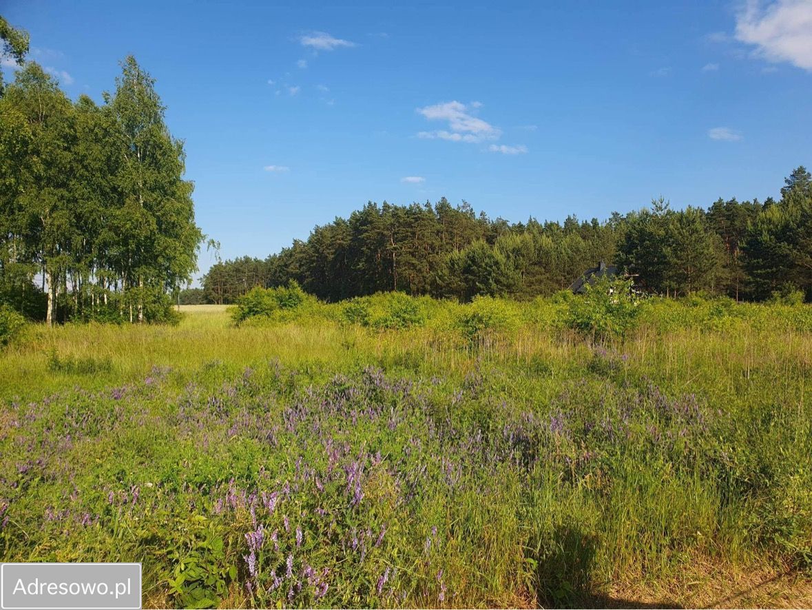 Działka rekreacyjna Panoszów Niwki, ul. Łąkowa