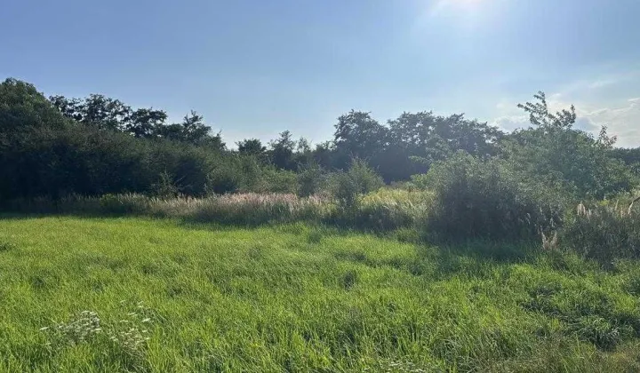 Działka budowlana Pyskowice, ul. Romualda Traugutta