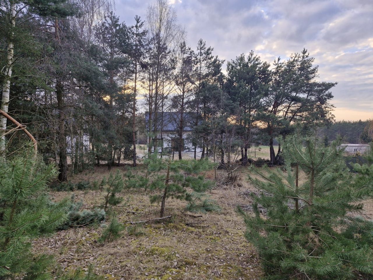 Działka budowlana Laski Małe. Zdjęcie 5