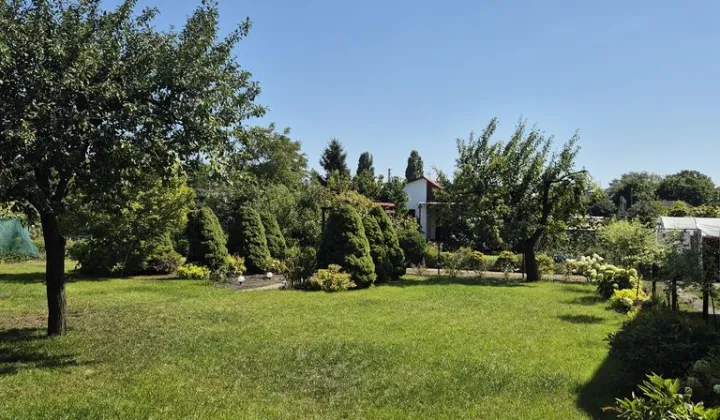 Działka rod Skierniewice, ul. Bielańska