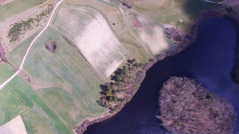 Działka budowlana Borowy Las. Zdjęcie 8