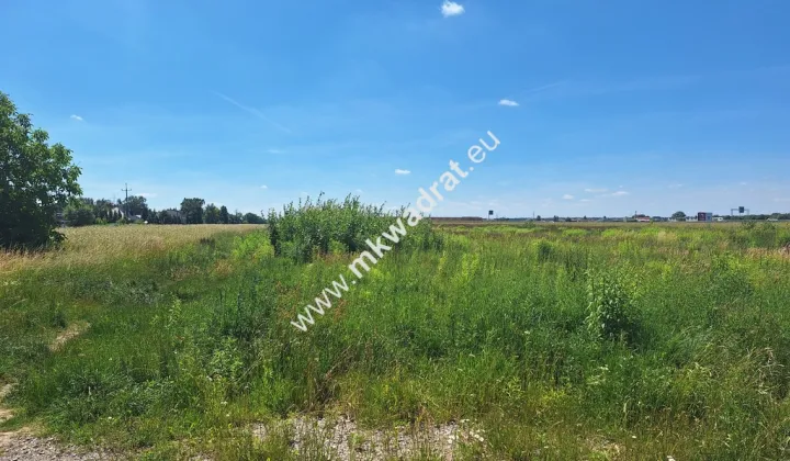 Działka inwestycyjna Wolica