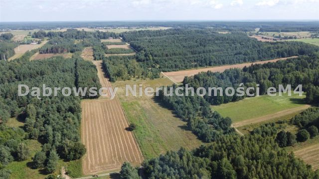 Działka rolna Letniki. Zdjęcie 3