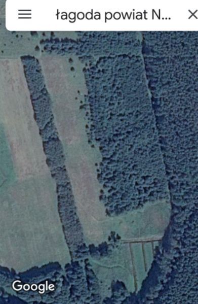 Działka siedliskowa Łagoda. Zdjęcie 3