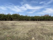 Działka budowlana Ujazd, ul. Antolin. Zdjęcie 4