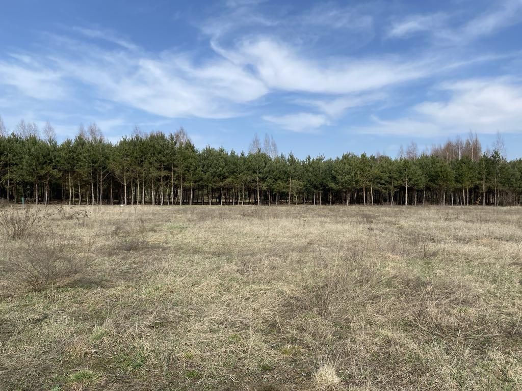 Działka budowlana Ujazd, ul. Antolin. Zdjęcie 5