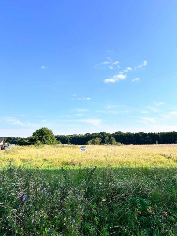 Działka rolno-budowlana Pyrzyce, ul. Tadeusza Kościuszki. Zdjęcie 5