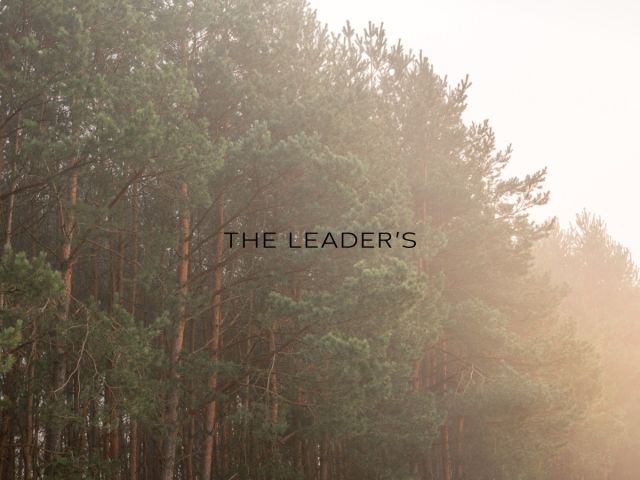 dom wolnostojący, 8 pokoi Kampinos. Zdjęcie 32