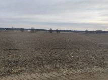 Działka rolna Boruszyn. Zdjęcie 4